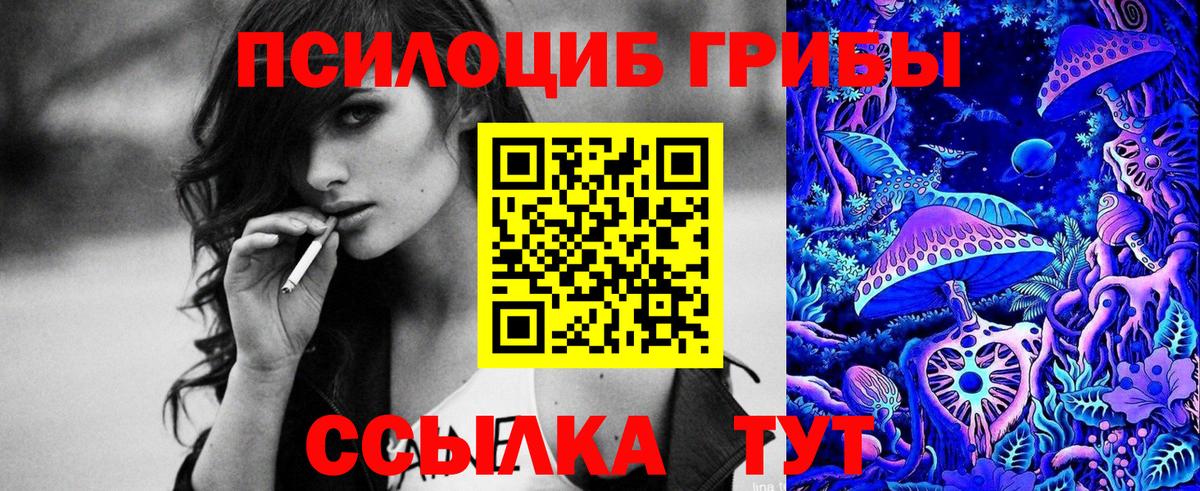 Псилоцибиновые грибы мухоморы  Псилоцибиновые грибы Cubensis  Славянск-на-Кубани 