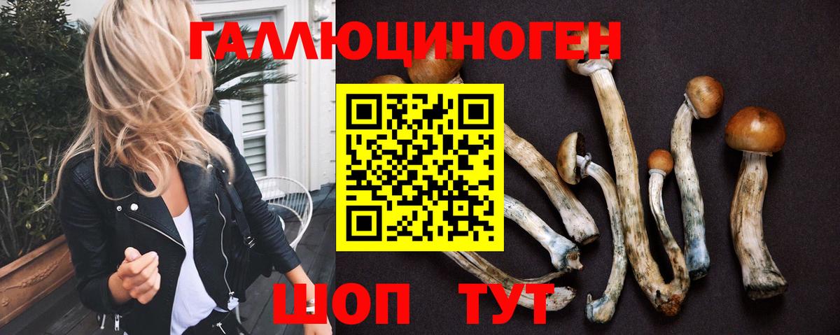 Галлюциногенные грибы GOLDEN TEACHER Славянск-на-Кубани