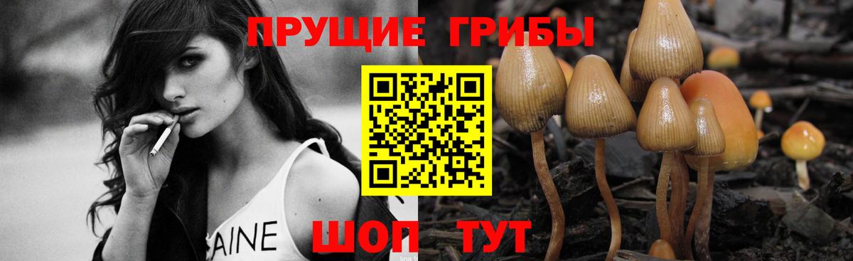 Славянск-на-Кубани  Псилоцибиновые грибы Magic Shrooms  Вход с VPN 