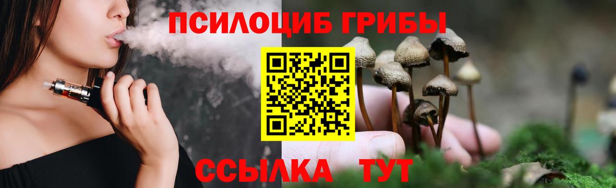 Псилоцибиновые грибы ЛСД Славянск-на-Кубани